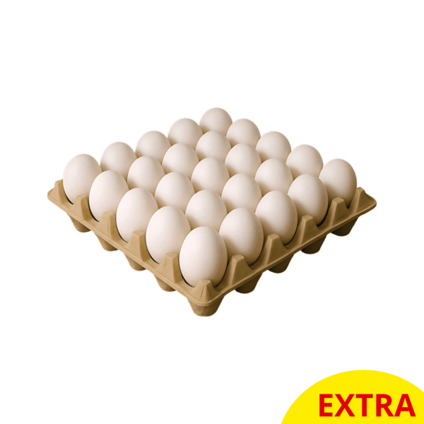 HUEVOS EXTRA BLANCO