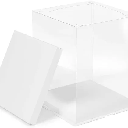 CAJA TORTA TRANSPARENTE 10IN