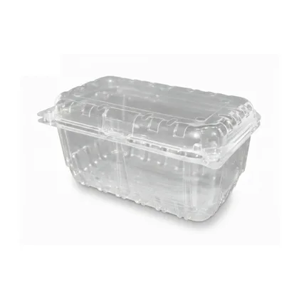 CLAMSHELL 500G FRUTAS